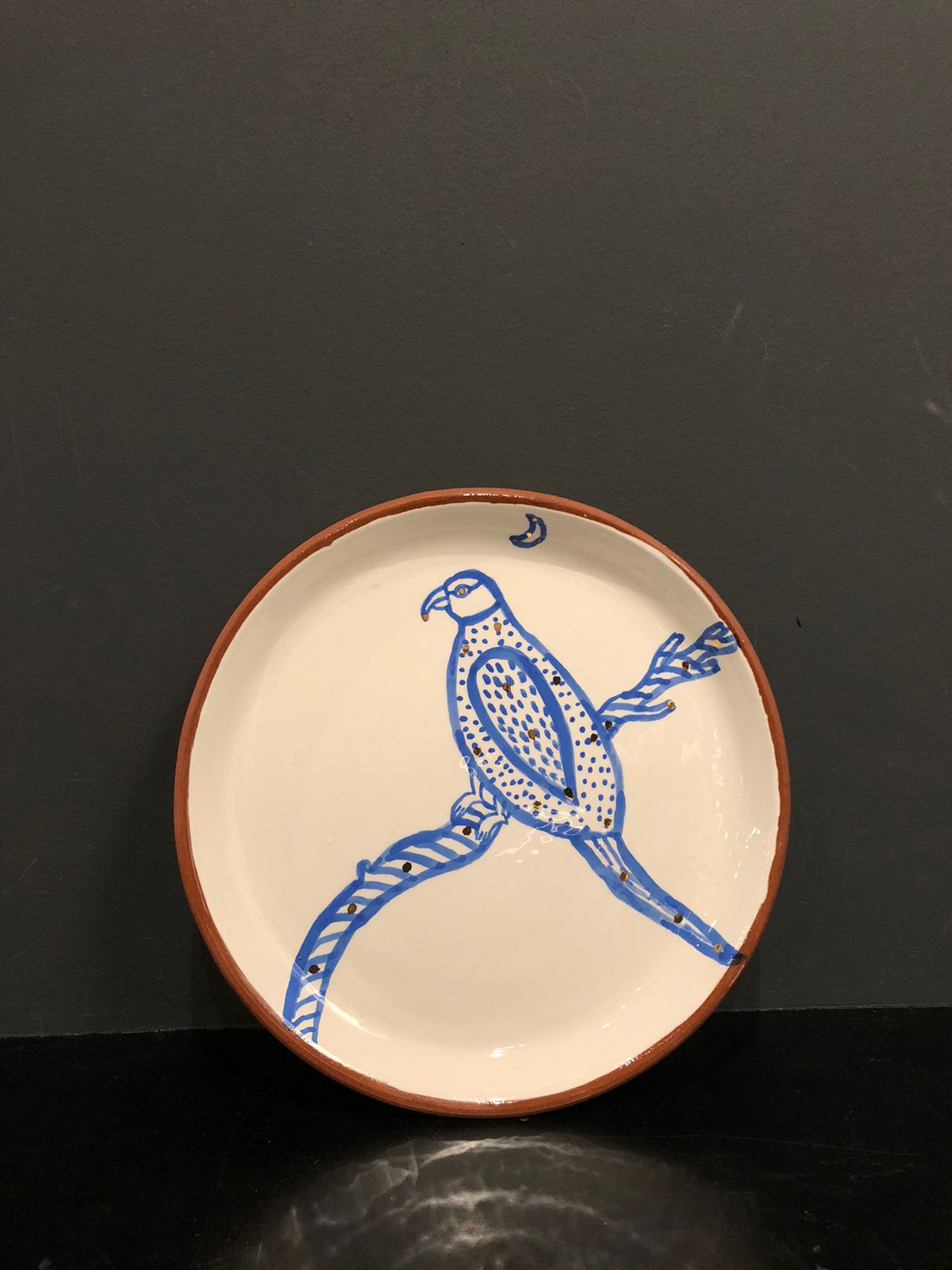 Hand Painted Terracotta Plates by Debjani