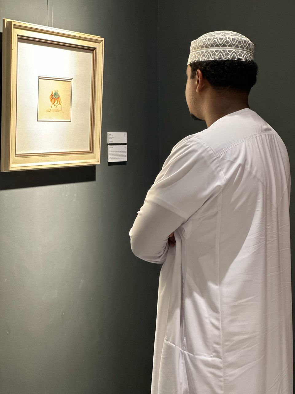 Camel collection by Azam Eisazadeh