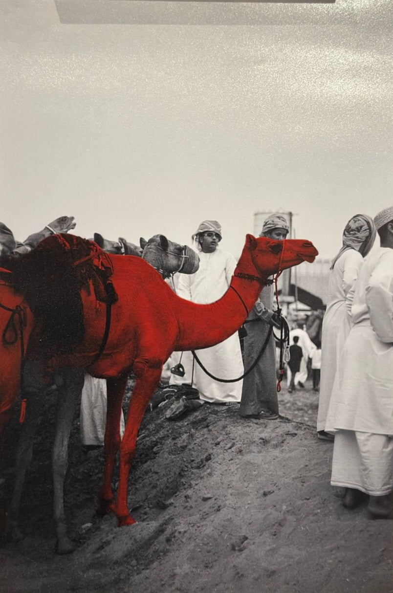 Untitled by Tariq Al Hajri