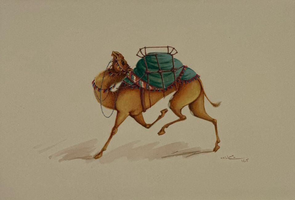 Camel collection by Azam Eisazadeh