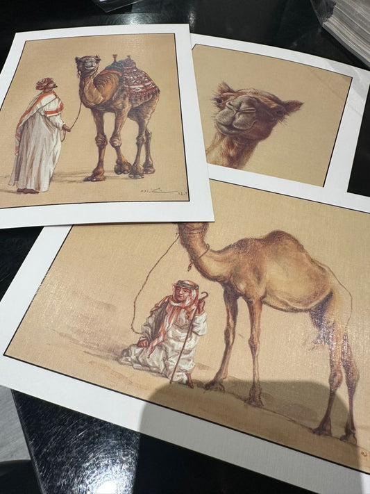 Camels collection postal card by Azam Eisazadeh